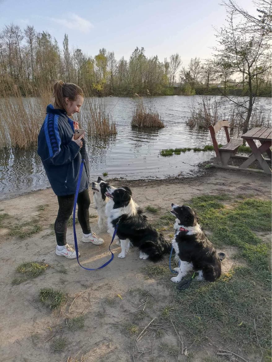 Alicja, Alapító & Napközis – Eleven Dogs