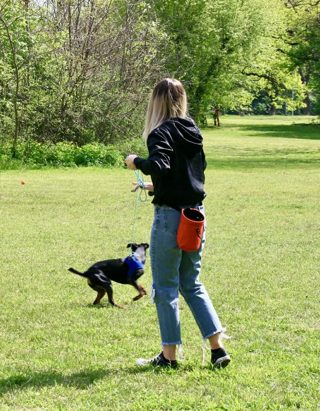 Az Eleven Dogs alapítói kutyasétáltatás közben